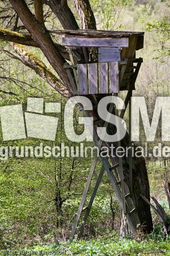 Hochstände (102 von 154).jpg